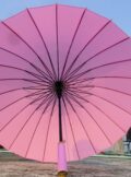 (Light Pink) ২৪ শিকের প্রিমিয়াম স্টাইলিশ Moon ছাতা + ফ্রি রেইনকোট - Image 3